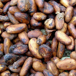 loin de se tasser, la demande mondiale de cacao devrait encore s'accroître car