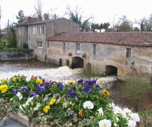 une vue de saint-médard-en-jalles.