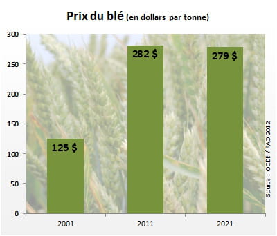 le prix du blé atteindra 279 dollars par tonne en 2021.