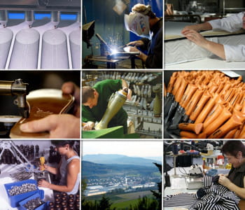 quelles entreprises refusent de délocaliser ?