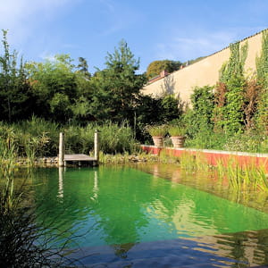 les piscines naturelles, qui recyclent l'eau sans produits chimiques, devraient