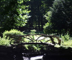 a saint-ouen-l'aumône.