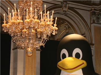 le manchot dans les salons de l'hôtel de ville de paris à l'occasion de paris