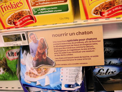 pour cette nourriture pour chaton, la photo représente un cocker roux.