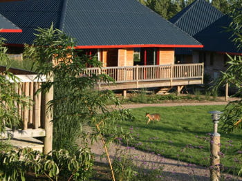un lodge du séminaire 'out of africa'