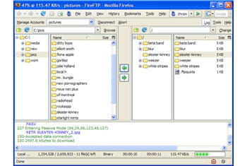 copie d'écran du module fireftp