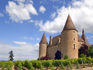 en 2010, 78,95 millions de personnes sont venues dans l'hexagone.