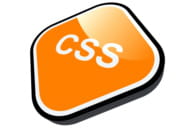 html et css permettent de gérer les styles des listes d'éléments.