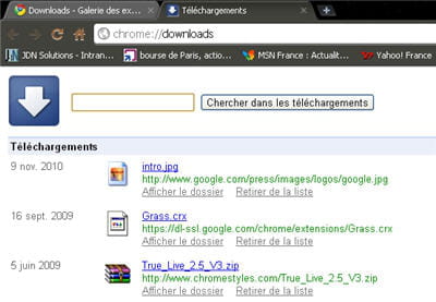 copie d'écran de l'extension downloads de google chrome