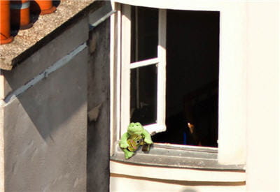 mais que fait cette grenouille et sa guitare à la fenêtre !