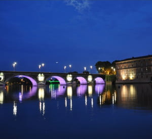 une vue de toulouse.