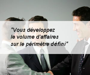 ingénieur commercial grands comptes.