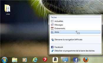 lorsqu'on épingle facebook dans sa barre d'adresse, on a ainsi accès à sa