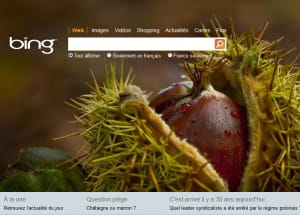 capture d'écran de bing.com