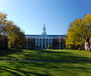 l'université d'harvard.