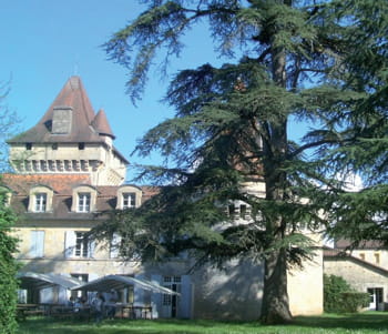 le château de villneuve-sur-yonne.