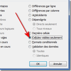 copier/coller uniquement les cellules visibles.