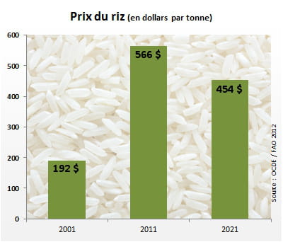 le prix du riz atteindra 454 dollars par tonne en 2021