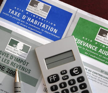 les impôts et taxes acquittés par l'elysée sont essentiellement locaux.