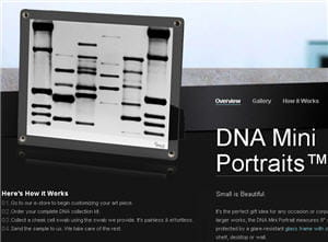 dna11.com