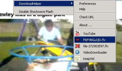 copie d'écran de l'extension downloadhelper pour firefox.