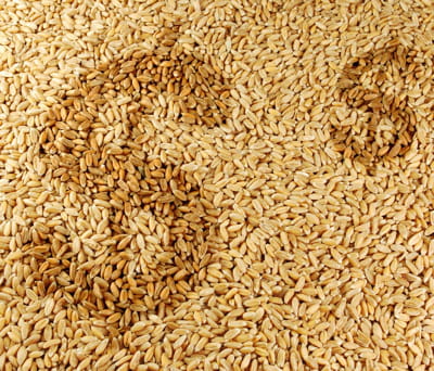 la flambée des prix des produits agricoles va-t-elle se poursuivre ?