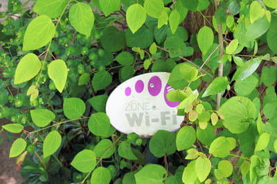 pour accéder prochainement à internet perdu en pleine nature