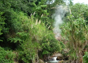 d'origine volcanique, la dominique est sans doute la plus sauvage des îles des