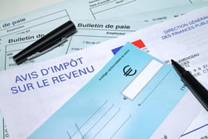 la cour consacre une large part de son rapport aux dépenses fiscales.