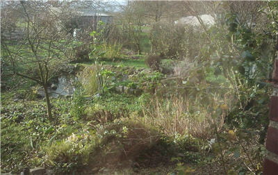 une photo d'un jardin picard prise un après midi de décembre avec le dext. les