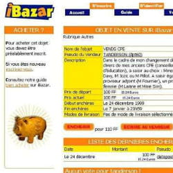 ibazar est l'ancêtre français d'ebay