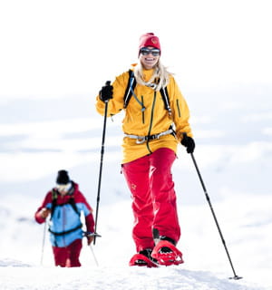 le chiffre d'affaires de tsl outdoor a progressé de 15% ces cinq dernières