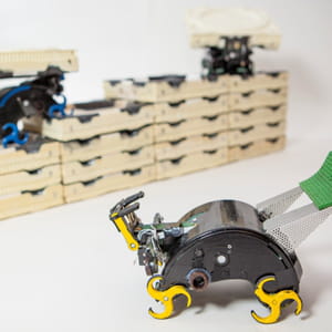 les robots termites assemblent une structure de manière autonome.