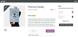 exemple de thème graphique pour woocommerce.