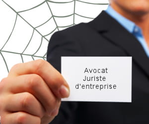 les spécialistes du droit.