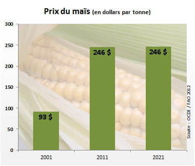 le prix du maïs atteindra 246 dollars la tonne en 2021.