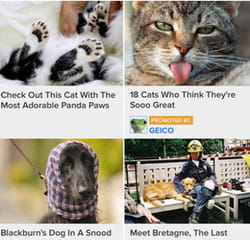 fini l'ennui, voici buzzfeed.