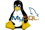 avec mysql, le serveur d'applications glassfish et la distribution linux (oracle