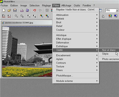 on sélectionne la zone à mettre en noir et blanc, on applique le filtre, et le