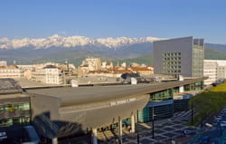 grenoble ecole de management.