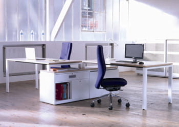 le bureau borneo.