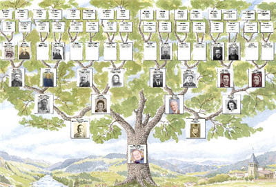 les modèles d'arbres sont nombreux