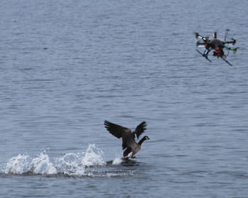 le drone épouvantail.