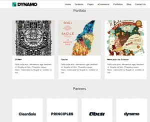 ce à quoi peut ressembler une partie de la page d'accueil avec le thème dynamo.