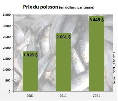 le prix du poisson atteindra 3 445 dollars par tonne en 2021