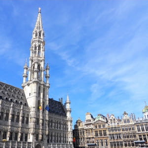 l'hôtel de ville de bruxelles.