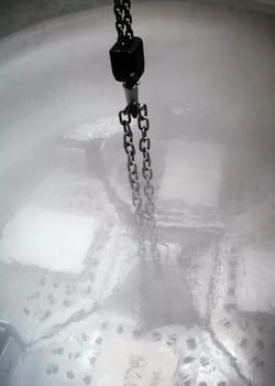 plongé dans l'azote liquide, le corps est congelé sans être altéré.