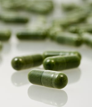 les micro-algues sont une excellente source d'omega-3 pour l'industrie