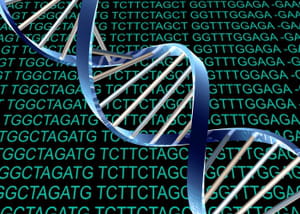 en remplaçant les 'bits' informatiques par des codons adn, on peut effectuer des