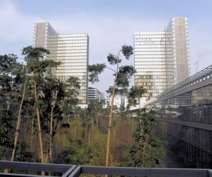 la bibliothèque françois mitterrand, dans le 13e arrondissement.